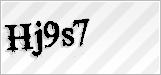 CAPTCHA security code