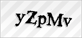 CAPTCHA security code