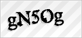 CAPTCHA security code
