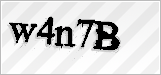 CAPTCHA security code