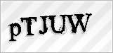 CAPTCHA security code